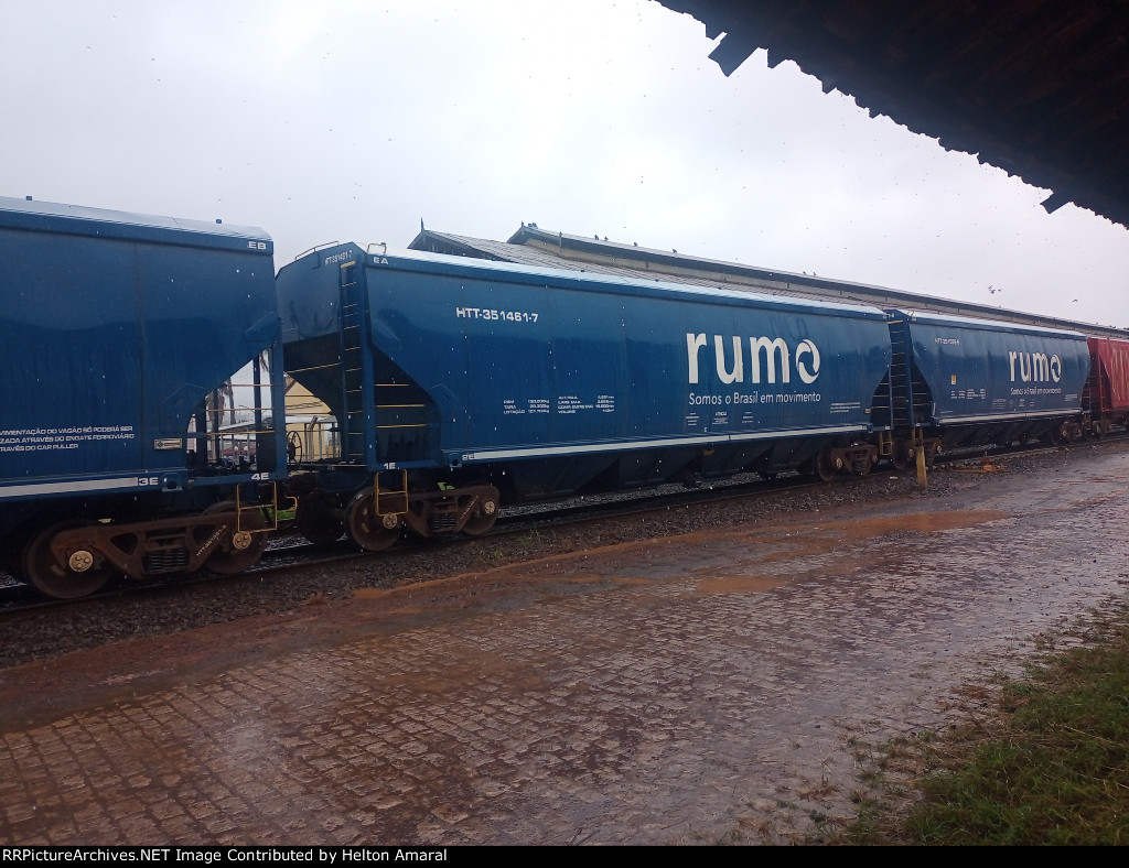 RUMO HTT-351461-7